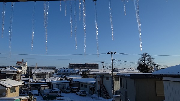 a0003089_8254576.jpg