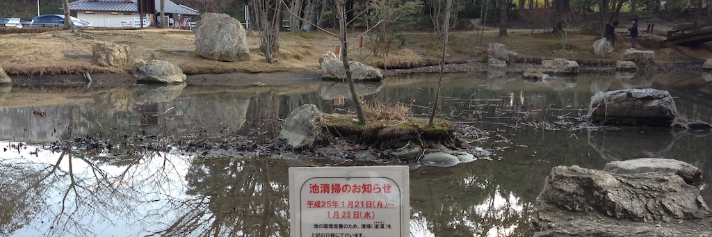 c0170789_1541741.jpg