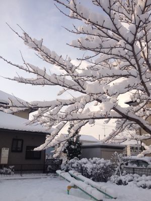 c0029190_21111587.jpg
