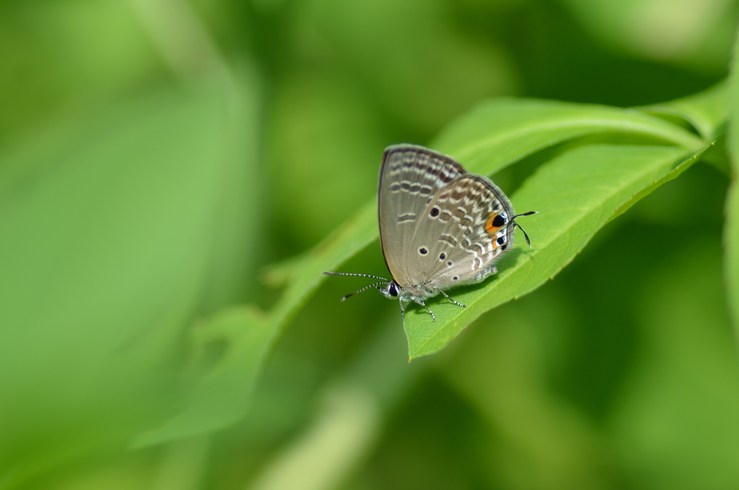 a0277496_15191344.jpg