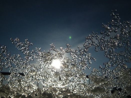 c0124998_1535240.jpg