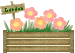 d0057701_16211233.gif