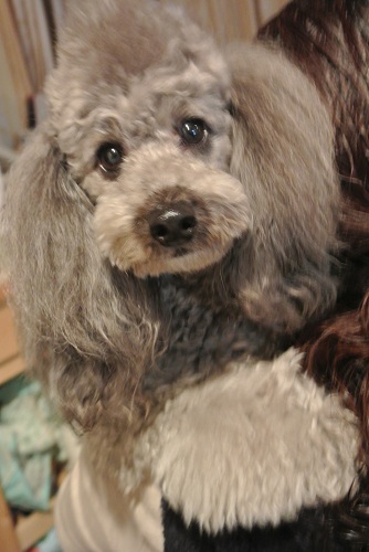 a0134004_024121.jpg