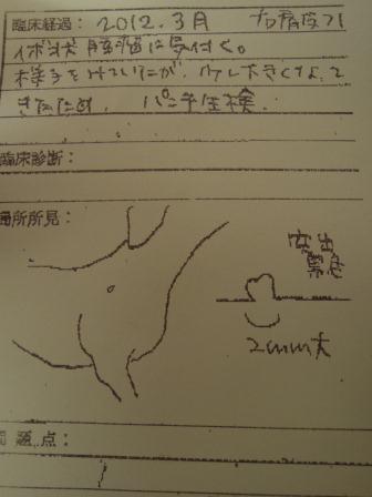 f0187704_19545123.jpg