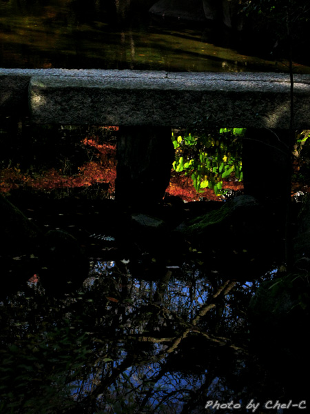 a0154706_9395541.jpg