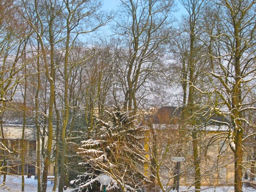 d0135907_624879.jpg