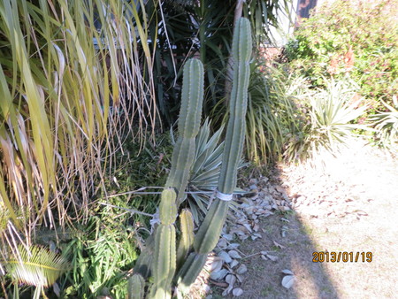 c0054212_054273.jpg