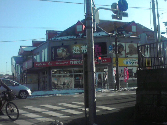 a0291521_17414164.jpg