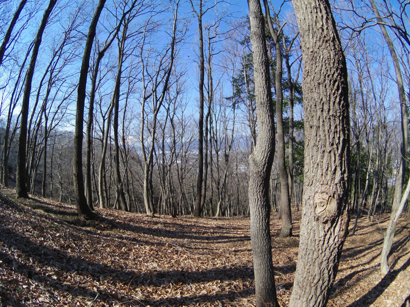 f0160222_232466.jpg