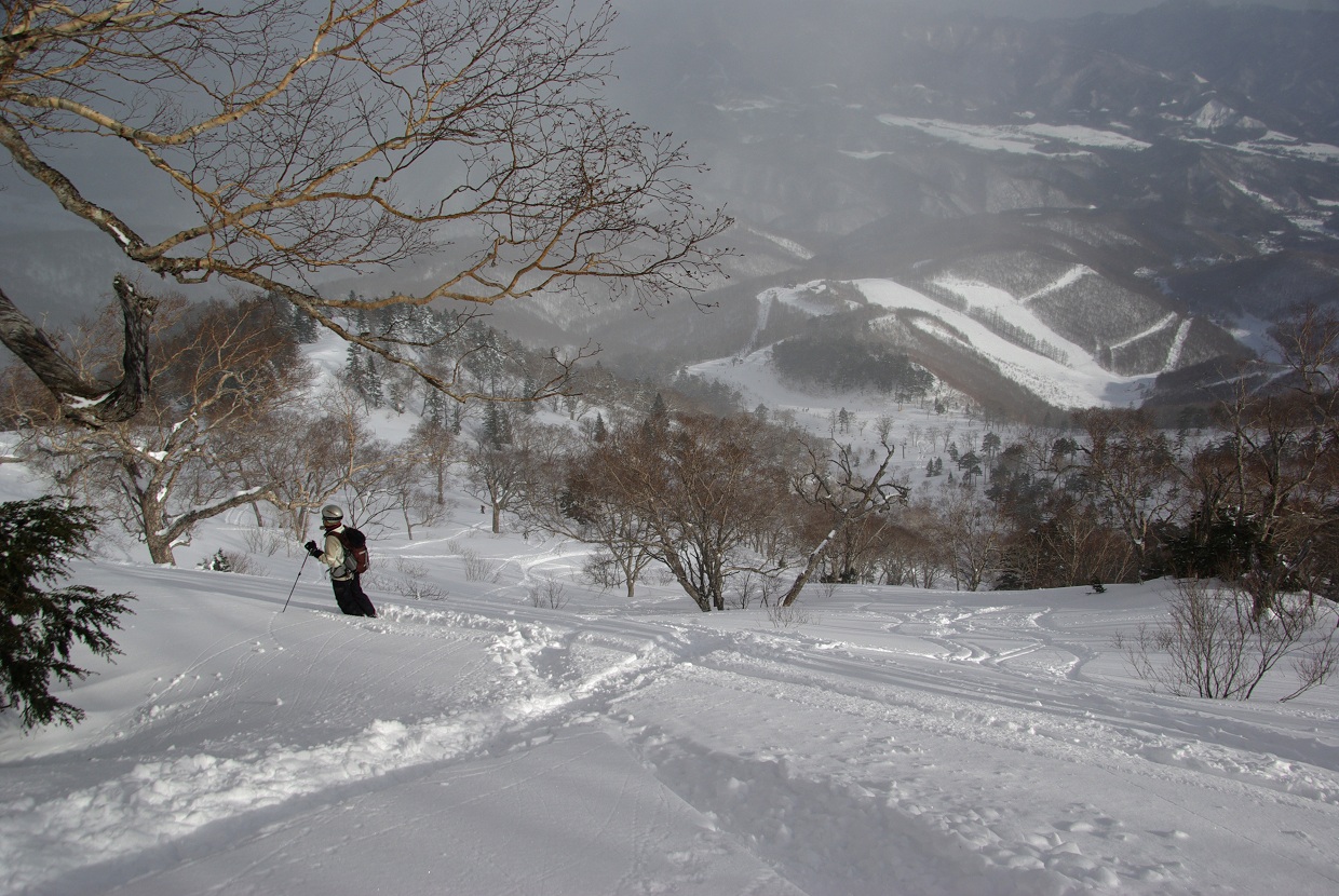 b0062024_21105764.jpg
