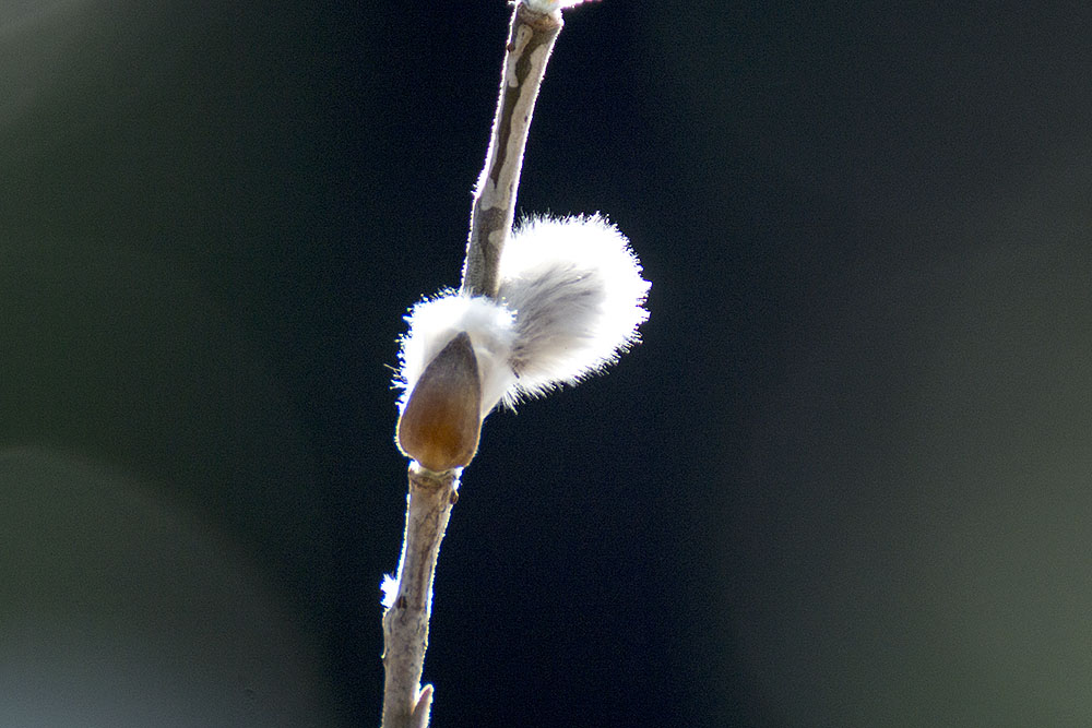 a0017831_2240390.jpg