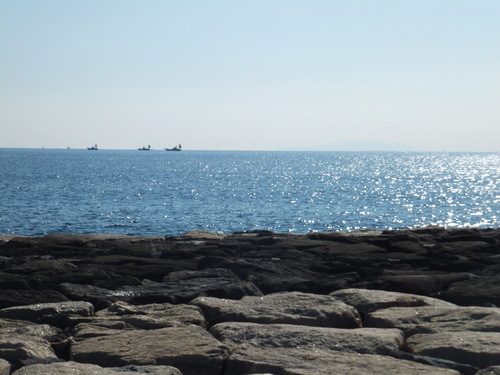 b0137932_13593012.jpg