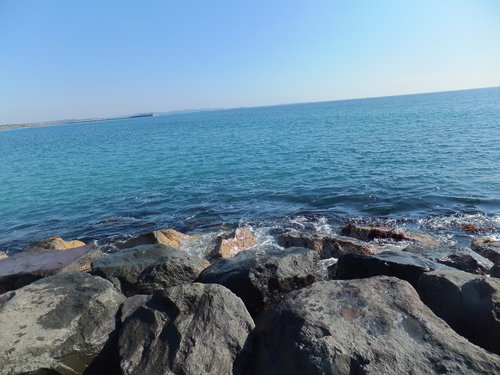 b0137932_14125779.jpg