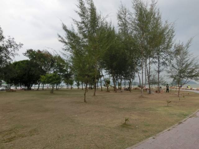 f0001835_23373277.jpg