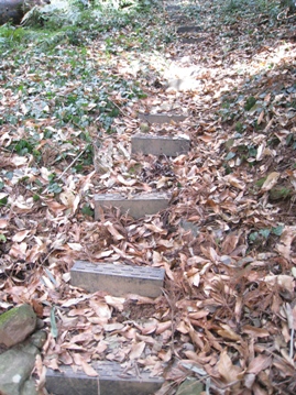 c0077338_745218.jpg