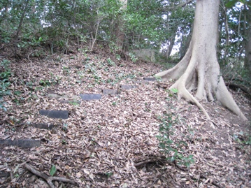 c0077338_75663.jpg