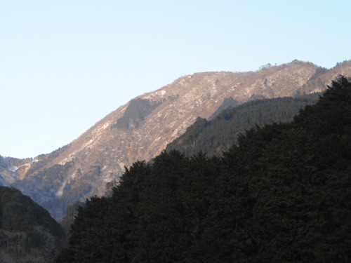 a0048040_2151536.jpg