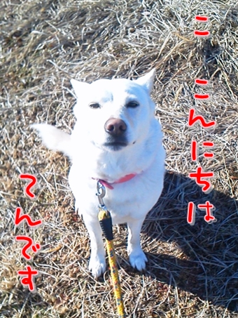 f0195543_22141217.jpg