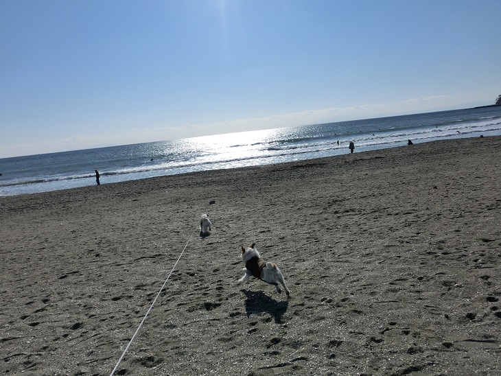 c0156345_10573074.jpg