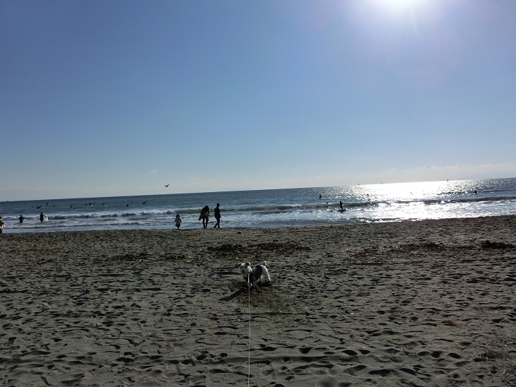 c0156345_10592239.jpg