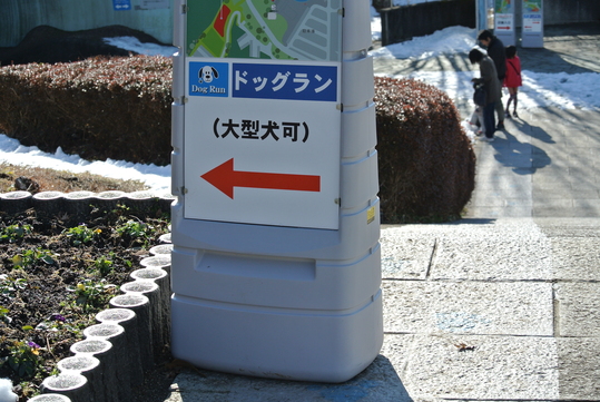 e0121548_18424769.jpg