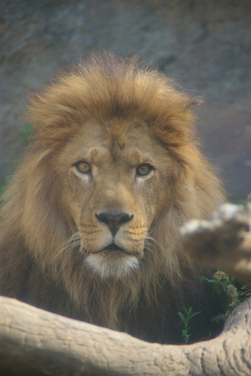 a0299749_22525396.jpg