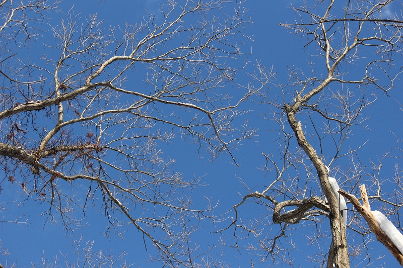 b0250154_9313835.jpg