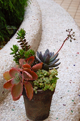 e0025655_552148.jpg