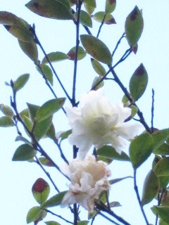 b0225561_1382011.jpg