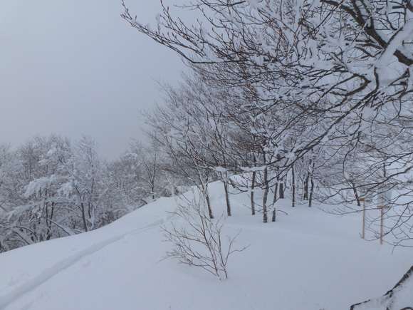 b0164568_1861579.jpg