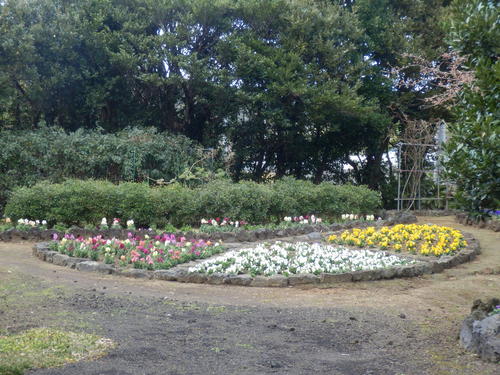 e0292172_2031033.jpg