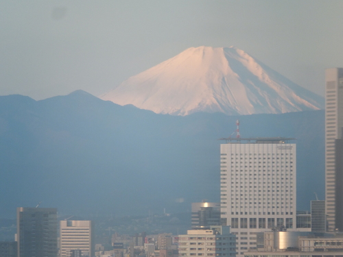 a0058978_62841.jpg