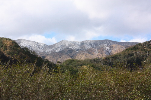 c0204385_22184168.jpg