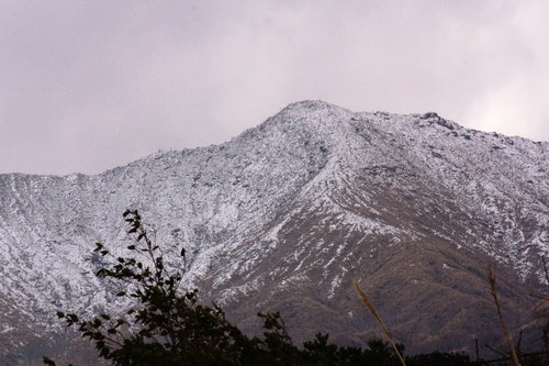 c0204385_22195653.jpg