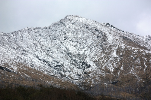 c0204385_22232652.jpg