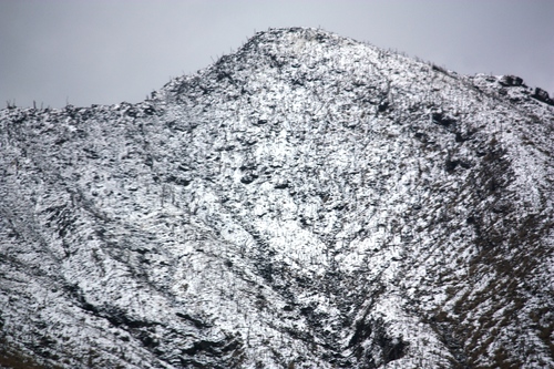c0204385_22244335.jpg