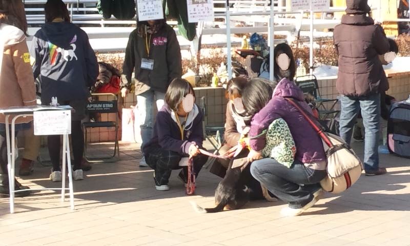 a0251586_23391785.jpg