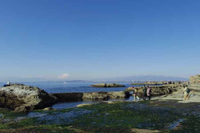 a0127090_2131337.jpg
