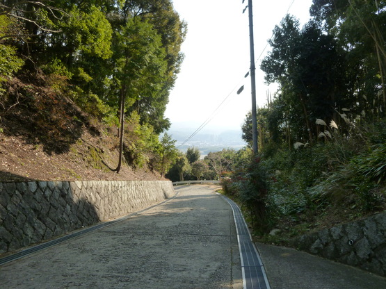 e0307890_0202348.jpg