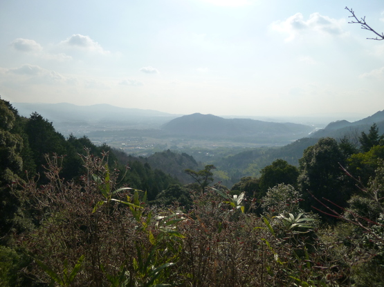 e0307890_052378.jpg