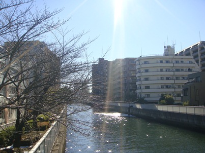 a0167803_21235746.jpg