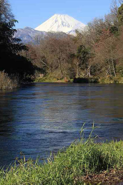 a0188405_0272965.jpg