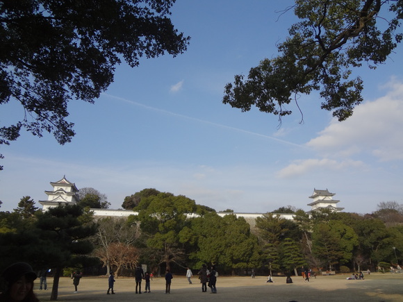 a0243305_193096.jpg