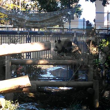 e0087008_12403739.jpg