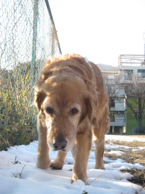 d0150309_19432277.jpg