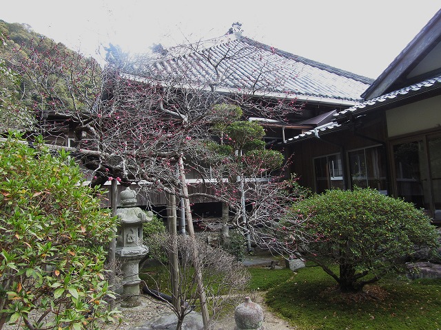 d0154609_19321589.jpg