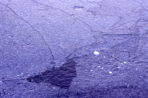 a0021110_16283262.jpg