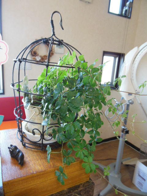 f0208812_15492034.jpg