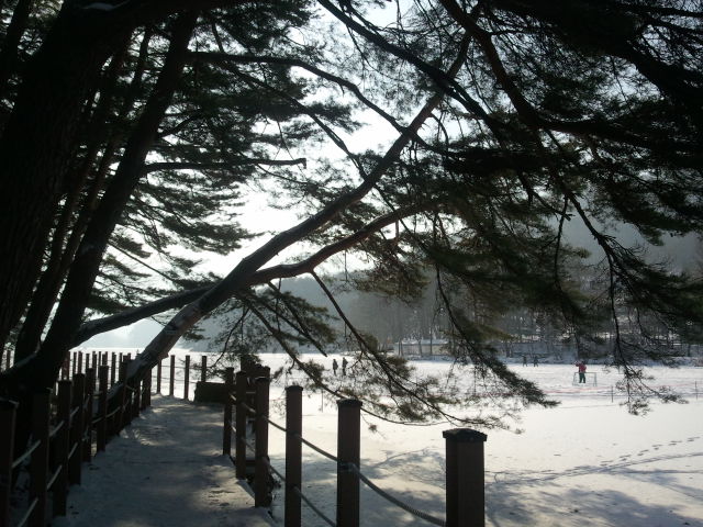 c0158014_18452470.jpg