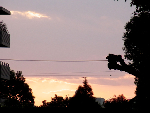 e0083517_1443138.jpg